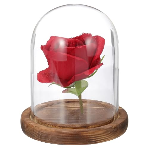 uxcell Glass Cloche Display Dome, 4.7" x 3.5" Glass Dome Display Case, Wood - size: 4.7" x 3.5"