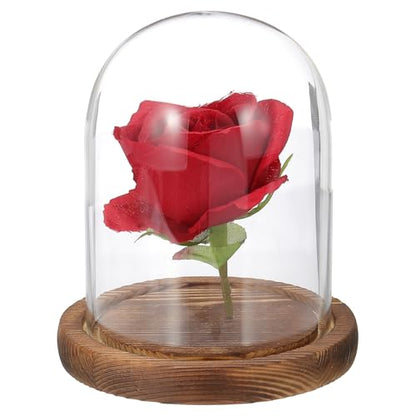 uxcell Glass Cloche Display Dome, 5.1" x 3.9" Glass Dome Display Case, Wood - size: 5.1" x 3.9"