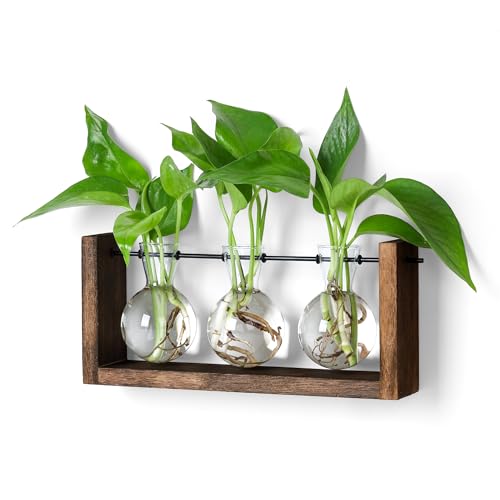 YIBOT Wall Hanging Planter Propagation Station 3 Bulb Glass Flower Vase | Plant Terrarium with Wooden Stand, Hydroponics Plants, Bathroom, Home Office Living Room Decor Gift - size: 3Bulb-M