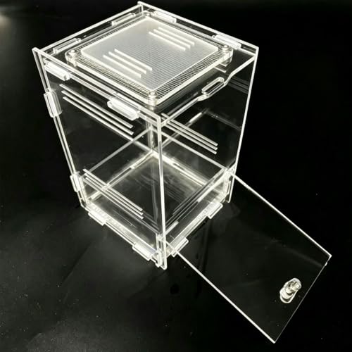Vertical Acrylic Terrarium, 4.5" x 3.9" x 6.5" Clear Small Pet Enclosure with 304 Stainless Steel Mesh Top, Waterproof Base, Secure Door for Jumping Spider, Tarantula Sling and Small Invertebrates