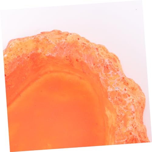 LIOOBO Crawling Food Dish for Lizards Reptile Feeder Odorless Reptile Supplies Water Storage Basin Pet Food Container Lizard Tank Accessories