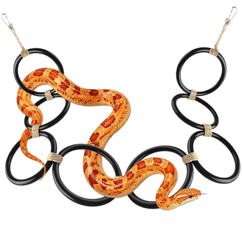 DBNESS Snake Climbing Rings, Ball Python Enclosure Enrichment Ring, Adjustable Playground Terrarium Decor Accessories for Corn Snakes, Garter Snakes, Iguana, Lizards, Chameleons, Parrot (Black-2pcs) - color: Black-2pcs