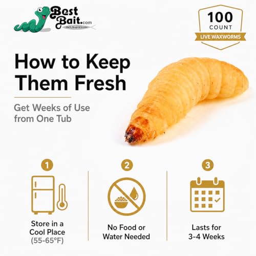 100 Count Premium Live Waxworms for Reptiles, Birds, Amphibians & Fishing Bait - High-Protein, Calcium-Rich Soft-Bodied Larvae - Ideal for Bearded Dragons, Geckos, Chickens & Trout