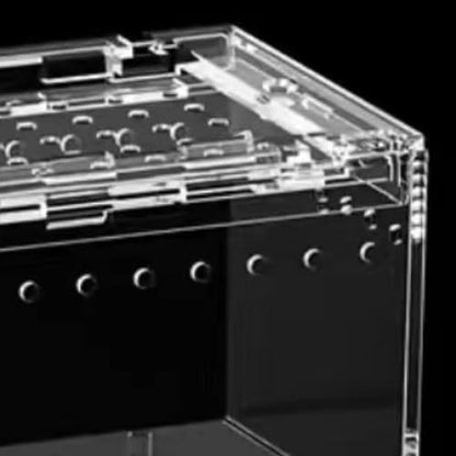Reptile Breeding Box, Reptile Terrarium, Animal Habitat, Cage, Enclosure, Cage for Turtle Container, 7cmx8cmx10cm - size: 7cmx8cmx10cm