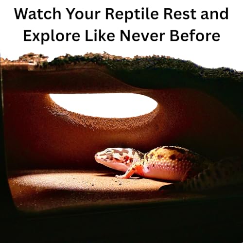 Reptile Corner Underground Cave Natural Curve Viewing Hide | Hognose Snake, Corn Snake & Leopard Gecko Hideout Reptile Habitat Tank Enrichment | Decor Decoration Accessories Supplies Toys Ornaments