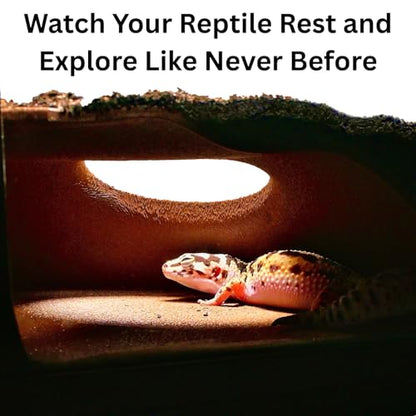 Reptile Corner Underground Cave Natural Curve Viewing Hide | Hognose Snake, Corn Snake & Leopard Gecko Hideout Reptile Habitat Tank Enrichment | Decor Decoration Accessories Supplies Toys Ornaments