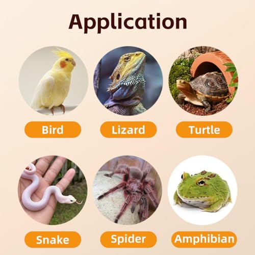 MANON ROSA Bird Thermometer Hygrometer – Mini Digital Magnetic & Adhesive Pet Temperature and Humidity Sensor Gauge for Parrot Cages, Lizard Spider Snake Gecko Reptile Rearing Boxes