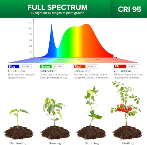SANSI LED Grow Lights for Indoor Plants, Lifetime Free Bulb Replacement | 300W Full Spectrum 2-Gooseneck Clip Plant Grow Light, Plant Light with Timer 4/8/12 Hrs, High PPFD Growing Power Grow Lamp - size: 2 Head 1 Pack