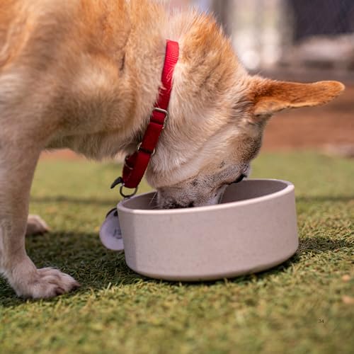 Loving Pets - Dolce Bamboo - Eco-Friendly Pet Bowls & Dishes for Dog, Cats, Puppy Food and Water Dish -Sustainable and Dishwasher Safe, Made with Real Bamboo (Small, Oat-Beige) - color: Oat Beige, size: Small Dish