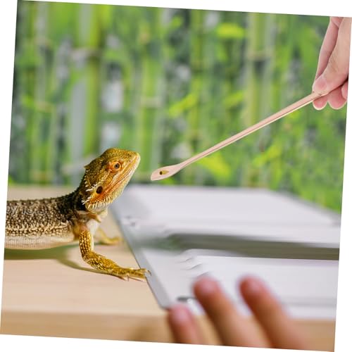 WOONEKY 2pcs Lizard Feeding Spoon Ergonomic Handle Reptile Food Scoop for Small Animals Feeding Tool for Easy