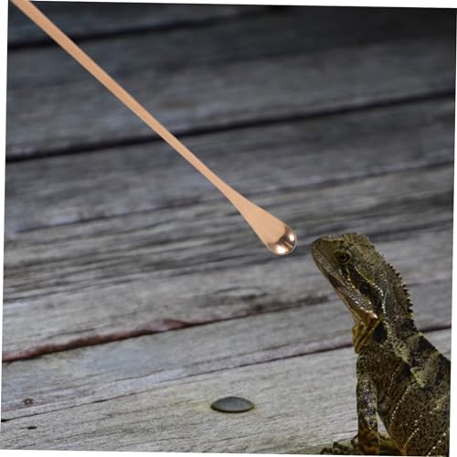 balacoo 2pcs Portable Lizard Food Feeding Spoon Reptile Pet Feeder Small Scoop Pet Supply Comfortable Handle - color: Rose Gold