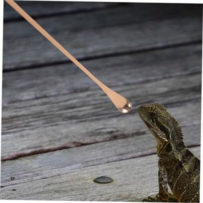 balacoo 2pcs Portable Lizard Food Feeding Spoon Reptile Pet Feeder Small Scoop Pet Supply Comfortable Handle - color: Rose Gold