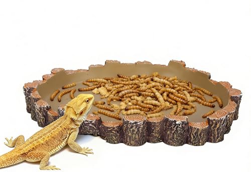 X-Large Bearded Dragon Water Dish Food Bowl, Reptile Food Dish, 9.5"x7.7"x1.4"