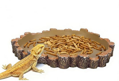X-Large Bearded Dragon Water Dish Food Bowl, Reptile Food Dish, 9.5"x7.7"x1.4"