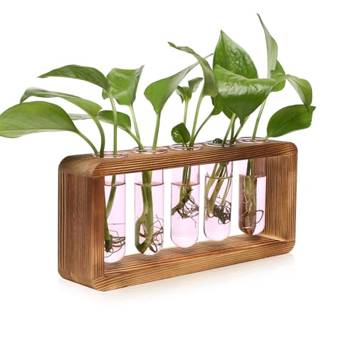 Glass Plant Propagation Station with 5 Test Tubes Colorful Planter Vase | Birthday Gifts for Women in Wooden Stand - color: Pink