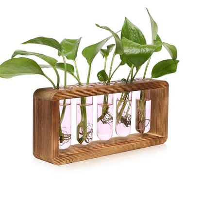 Glass Plant Propagation Station with 5 Test Tubes Colorful Planter Vase | Birthday Gifts for Women in Wooden Stand - color: Pink