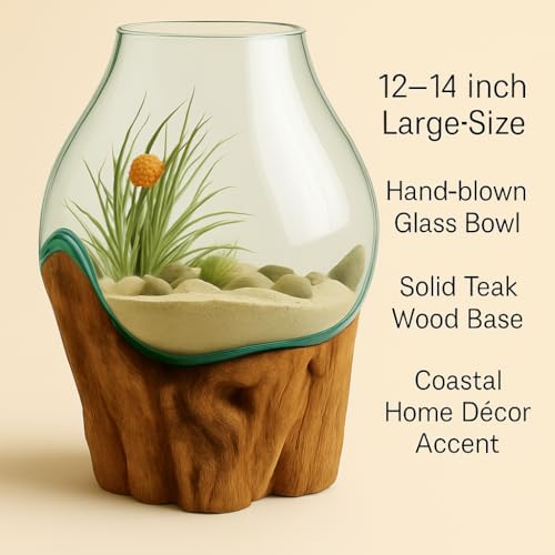 OMA Hand Blown Molten Glass on Driftwood Terrarium Vase or Planter – Recycled Glass & Natural Wood for Coastal & Boho Home Décor (12"–14" High) - size: 12" - 14" High