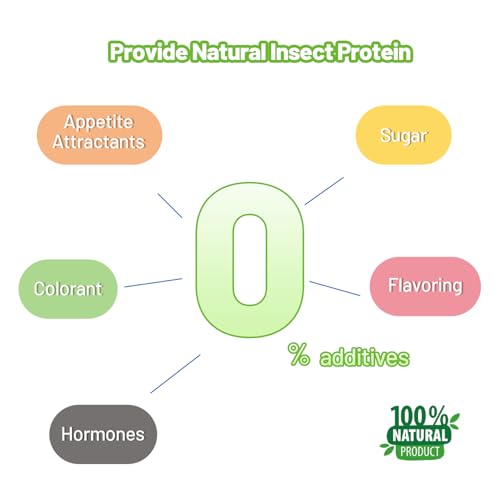 Gecko Food Insect Puree, Silkworm Paste Reptile Food Made with Fresh Insects
