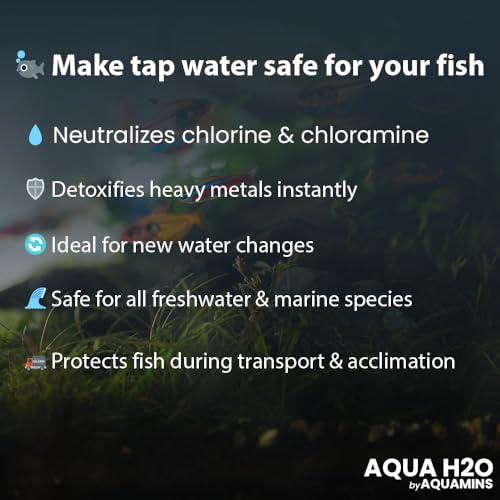 Aqua H2O Aquarium Water Conditioner - 100ml / 3.38 fl oz - Supports Fish Protective Coat & Natural Well-Being - Safe for Freshwater & Saltwater Tanks - size: 100ml/3.38fl oz