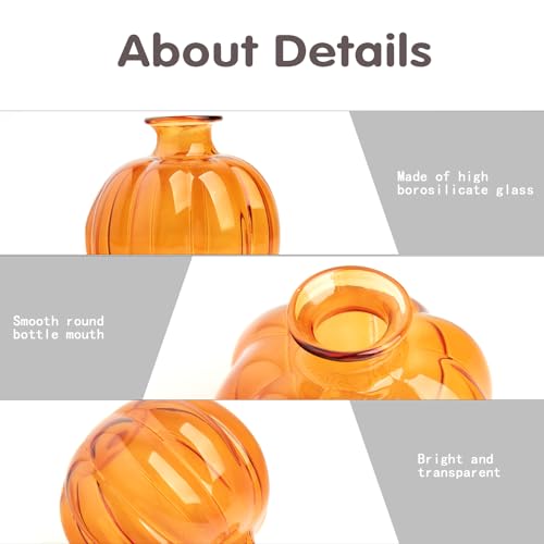 XXXFLOWER Plant Terrarium Propagation Stations Unique Gifts for Women Plant Lovers 3Pcs Pumpkin-Shaped Glass Vase for Tabletop Home Office Garden Decor (Plants NOT Included) - size: 3PCS Pumpkin Vase