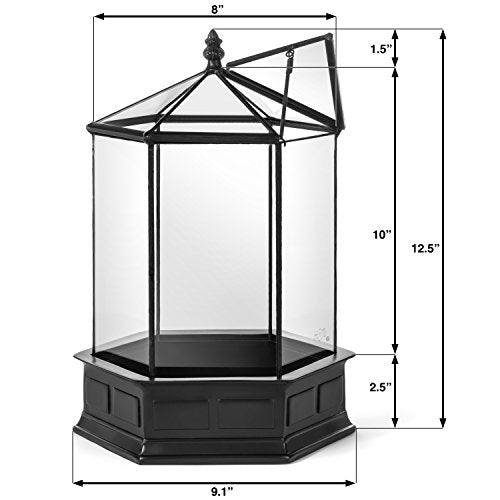 H Potter Six-Sided Glass Terrarium Wardian Case Succulent Planter | Hinged Roof, Indoor Plant Display, Resin Base, Decorative Tabletop