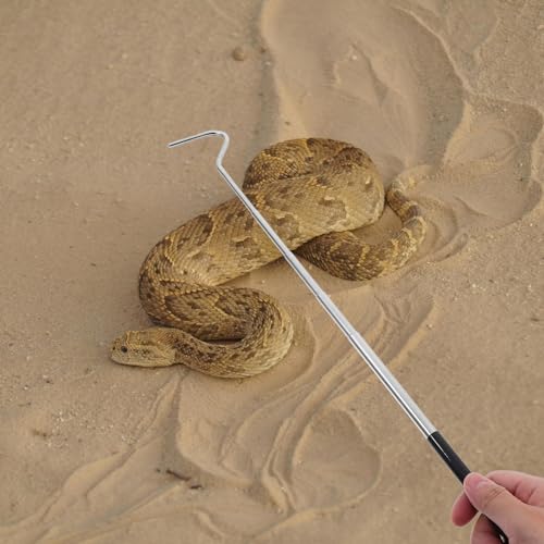 TOYANDONA Professional Retractable Snake Hook Stainless Steel Telescopic Reptile Catcher with Handle Adjustable Extension Tool for Safe Snake Handling and Reptile Care