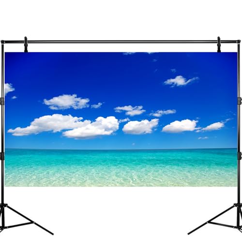Ocean Sea Fish Tank Background Tropical Paradise Ocean Aquarium Background Sunny Seascape Terrarium Backgrounds Sunny Blue Sky Cloudy Seacoast Sandbeach Sea Waves Reptile Tank Backgrounds 24x12in - color: Aqua Blue, size: 24(W)x12(H)inches/ 60(W)*30cm(H)