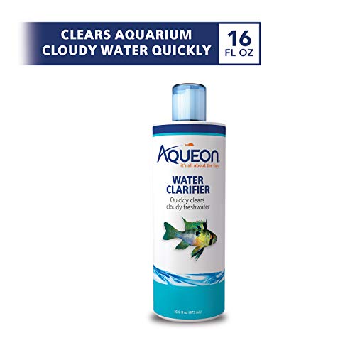 Aqueon Freshwater Aquarium Water Clarifier, Clears Cloudy Fish Tank Water, Safe to Use with Fish and Plants - 8 Ounces (Pack of 12) - size: 16 fluid ounces (Pack of 12)