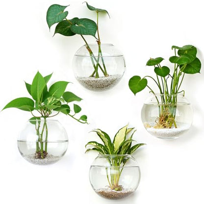 DomeStar Set of 4 Wall Vases, Wall Mounted Propagation Station | Hanging Glass Vases, Terrarium Station for Hydroponics, Plants Home Office Decor (5 Inch) - size: 4pcs