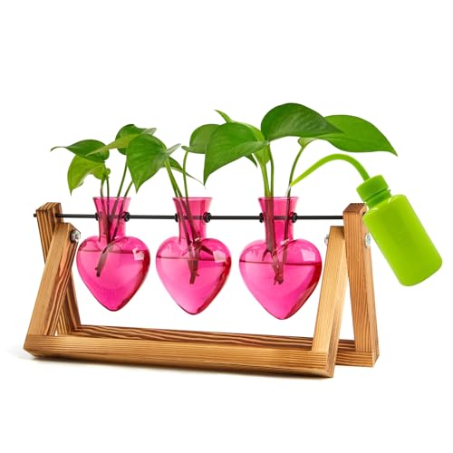 XXXFLOWER Plant Terrarium Propagation Stations 3 Heart Shaped Vases | Unique Terrarium Jar Gifts for Women Wife Mom Plant Lovers, Hydroponics, Home Garden Office Decor - size: 3 Heart Vase