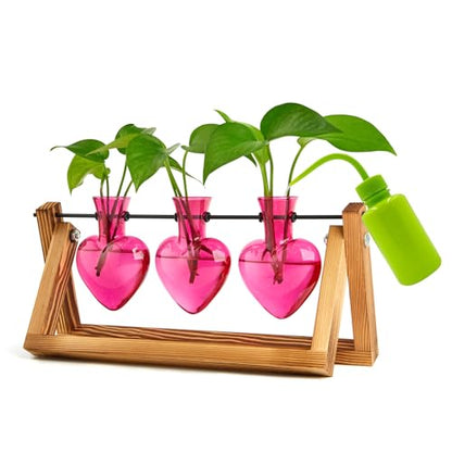 XXXFLOWER Plant Terrarium Propagation Stations 3 Heart Shaped Vases | Unique Terrarium Jar Gifts for Women Wife Mom Plant Lovers, Hydroponics, Home Garden Office Decor - size: 3 Heart Vase
