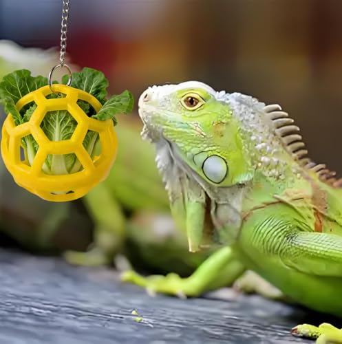 8 PCS Bearded Dragon Enrichment Toys Kit with Feeder Ball, Hanging Bell Balls, Suction Cups & Reptile Hammock - Interactive Foraging Feeder, Habitat Decor Accessories for Lizard Gecko Climbing Play