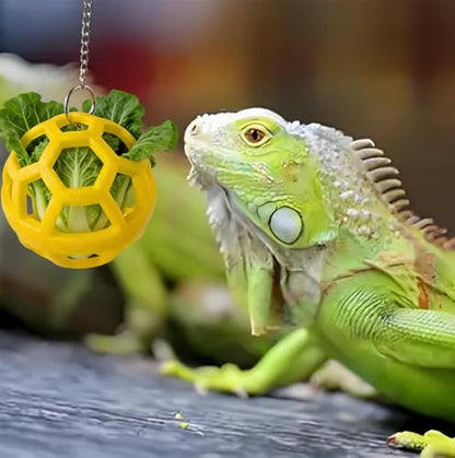 8 PCS Bearded Dragon Enrichment Toys Kit with Feeder Ball, Hanging Bell Balls, Suction Cups & Reptile Hammock - Interactive Foraging Feeder, Habitat Decor Accessories for Lizard Gecko Climbing Play