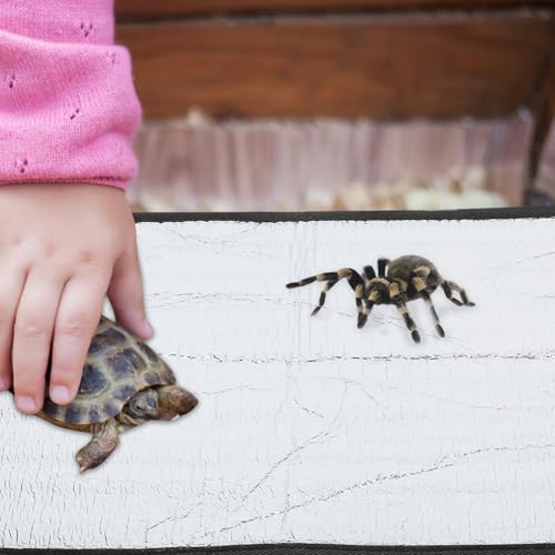 Totority Heating Pad for Reptiles Self-Heating Mat for Chinchillas Turtles and Pets Film Reptile Heat Pad for Cozy Habitats