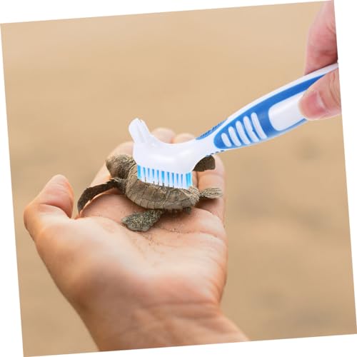 BESPORTBLE 3pcs Turtle Shell Cleaning Brush for Aquatic Turtle Tank Reptile Hides Reptile Accessories - color: Sky-blue