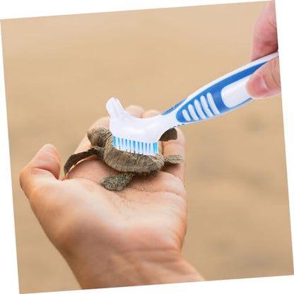 BESPORTBLE 3pcs Turtle Shell Cleaning Brush for Aquatic Turtle Tank Reptile Hides Reptile Accessories - color: Sky-blue