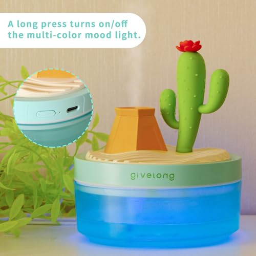 Reptile Fogger, 320ML USB Plastic Cartoon Cactus Humidifier with Lampion, Mister for Reptile Tank, Terrarium Accessories for Snake, Tortoise, Tree Frog, Chameleon and Other Small Animals
