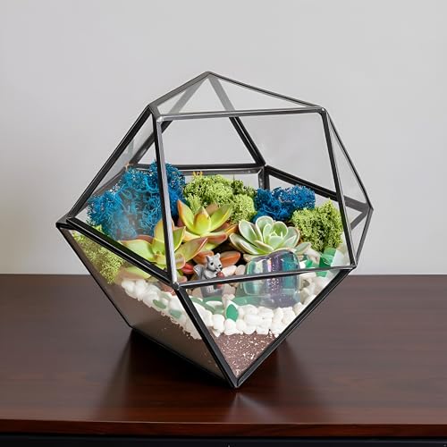 Creations by Nathalie DIY 7" Chalice Glass Terrarium Kit with Moss & Tools | DIY geometric glass terrarium kit with moss, tools, and supplies for creating an indoor terrarium display with your plants. - color: 7” Geometric Dodecahedron