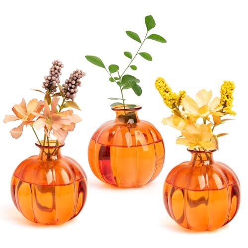 XXXFLOWER Plant Terrarium Propagation Stations Unique Gifts for Women Plant Lovers 3Pcs Pumpkin-Shaped Glass Vase for Tabletop Home Office Garden Decor (Plants NOT Included) - size: 3PCS Pumpkin Vase