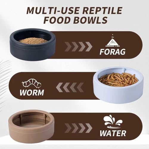 6 Pack Anti-Escape Reptile Food Dish Bowls, Plastic Worm Water Dish | Mealworm Feeder Cups for Small Gecko, Lizards, Bearded Dragon, Chameleon 2.83" W x 2.83" D x 0.98" H, 3 Colors