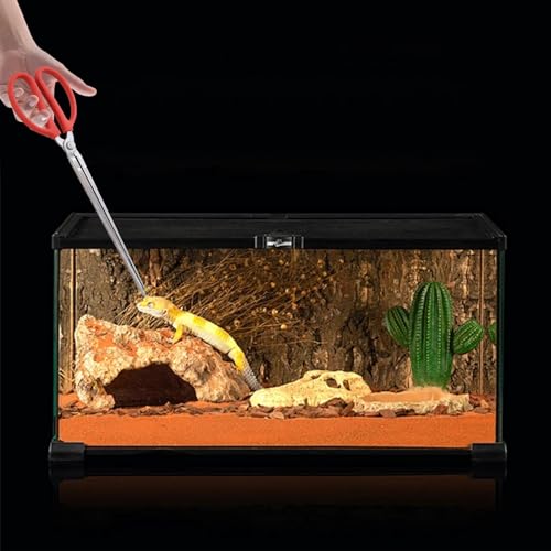 2 PCS Snake Feeding Tongs 15 Inch Extra Long Stainless Steel Reptile Feeding Tongs Including 1 Curved Mouth and 1 Straight Mouth Feeding Tong Tweezers for Ball Python Fish Aquariums Reptiles Snakes