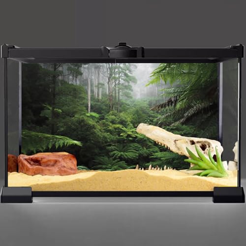 36x18 in Rainforest Aquarium Backdrop Green Tree Reptile Habitat Background | AWERT Foggy Forest Tropical Plants Terrarium Background Durable Polyester - size: 36x18in/90x45cm
