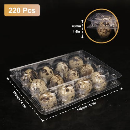220 Pack Quail Egg Cartons, Clear Plastic Quail Egg Trays, Holds up to 12 Quail Eggs Securely - Your Ultimate Small Eggs Carton Holders for Bulk Storage and Display - size: 220 Pack Quail Egg Cartons 12 Grids