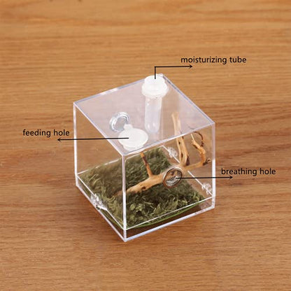 Jumping Spider Micro Big Habitat, Small Pet Insect Breeding Box, 360 Degree High Transparent Reptile Cage, Acrylic Case Mini Carrier for Amphibians, Feeding Container Enclosure Accessories