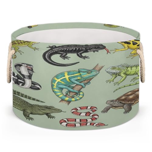 Large Storage Baskets - Reptiles Amphibians Lizards Nursery Round Collapsible Organizer Bin Box, Laundry Hamper for Kids Toys, Blanket, Bedroom Living Room Home Decor, Gift Basket, 19.4"x13.3"