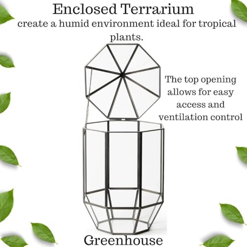 SuperMoss (90405) Glass Terrarium – Elegant Indoor Gardening Décor, Ideal Gifts for Plant Lovers, Modern Home & Office Decoration, 7.5” x 7.5” x 14”, Greenhouse