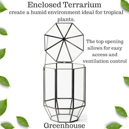 SuperMoss (90405) Glass Terrarium – Elegant Indoor Gardening Décor, Ideal Gifts for Plant Lovers, Modern Home & Office Decoration, 7.5” x 7.5” x 14”, Greenhouse