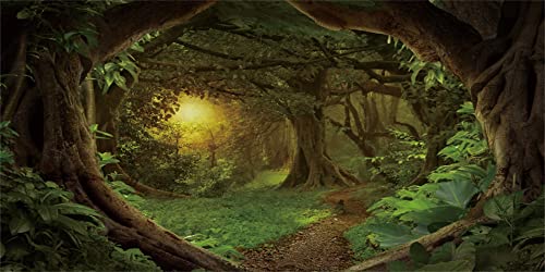 72x24 in Forest Terrarium Backdrop Green Tree Reptile Habitat Background | AWERT Dim Old Trees Psychedelic Woodland Rainforest Aquarium Vinyl Background - size: 72x24in/180x60cm