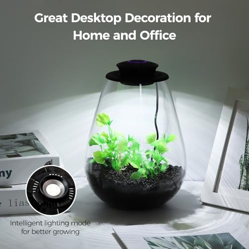 Mini Desktop Glass Plant Terrarium with Grow Light - Planter for Succulent Moss Miniature Gardening Landscape, Small Fish Tank, Indoor Plant Growth, Office Home Decoration, Plant Lovers Gifts