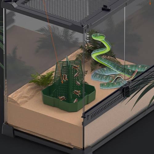 Reptile Dish Anti-Escape Superworm Feeder Live Worm Organizer Climb Column | Chameleon for Indoor Outdoor Tank Aquarium Accessories Gecko Lizard Bearded Dragon Snake Tortoise Reptile Spider